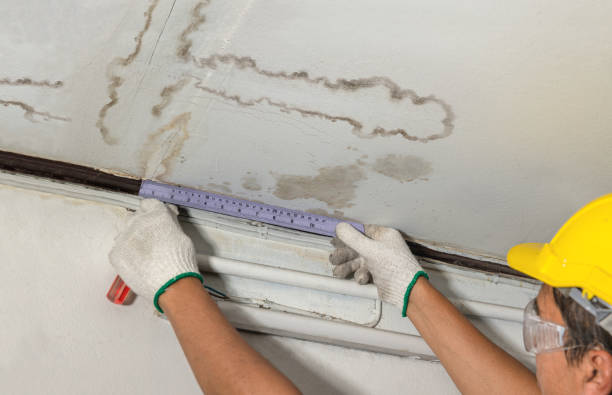 Reliable Sewage Cleanup contractor in Pittsville, MD by Water Damage Irwin